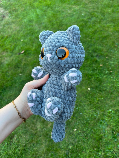 Chaton câlin 🐾