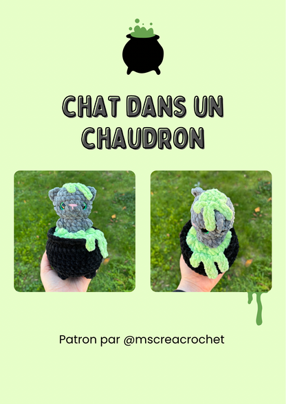Patron chat chaudron 🧪