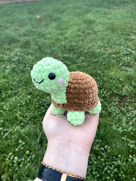 Tortue de terre